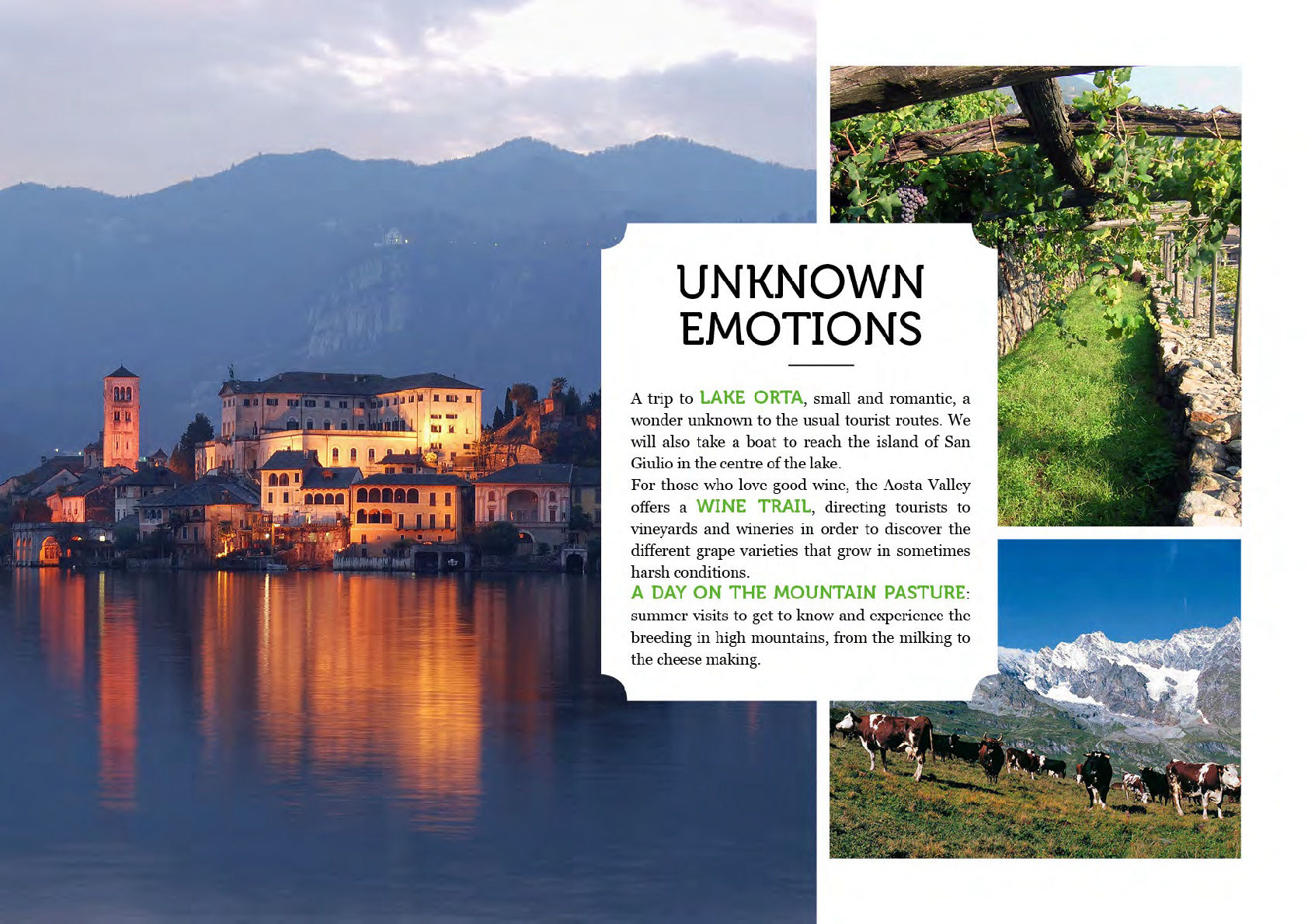 Lake Orta, Wine Trail, Mountain Pasture